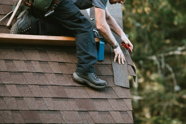 Roof Gutter Cleaning in Tracyton, WA